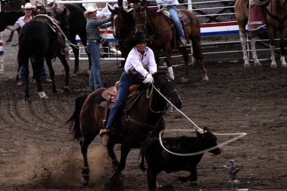 rodeo