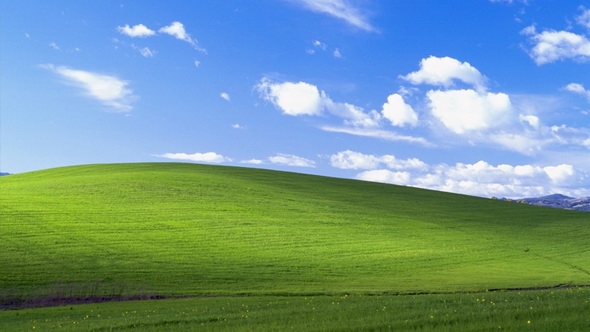 windows-xp-bliss