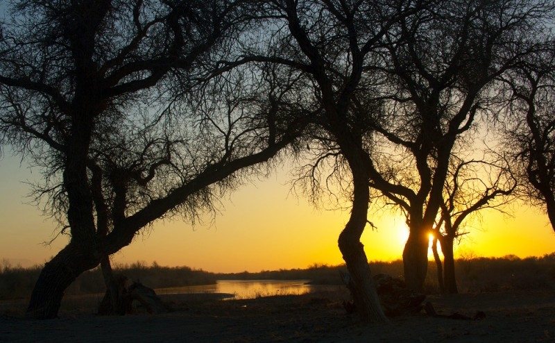 0 aa 120-800x494.jpg