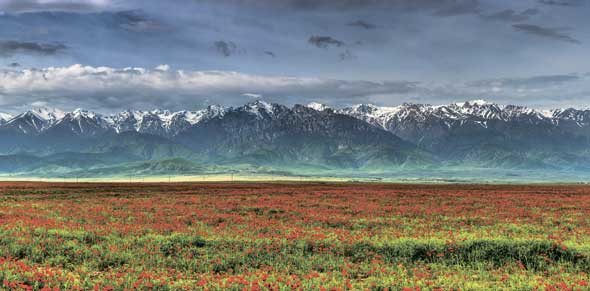 Community Based Tourism: перспективы развития в регионах РК